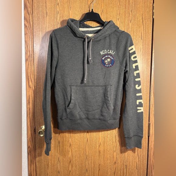 Hollister Other - Hollister Embroidered Graphic Hoodie